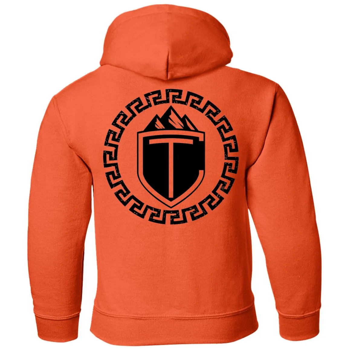CT Sheild: Youth Pullover Hoodie