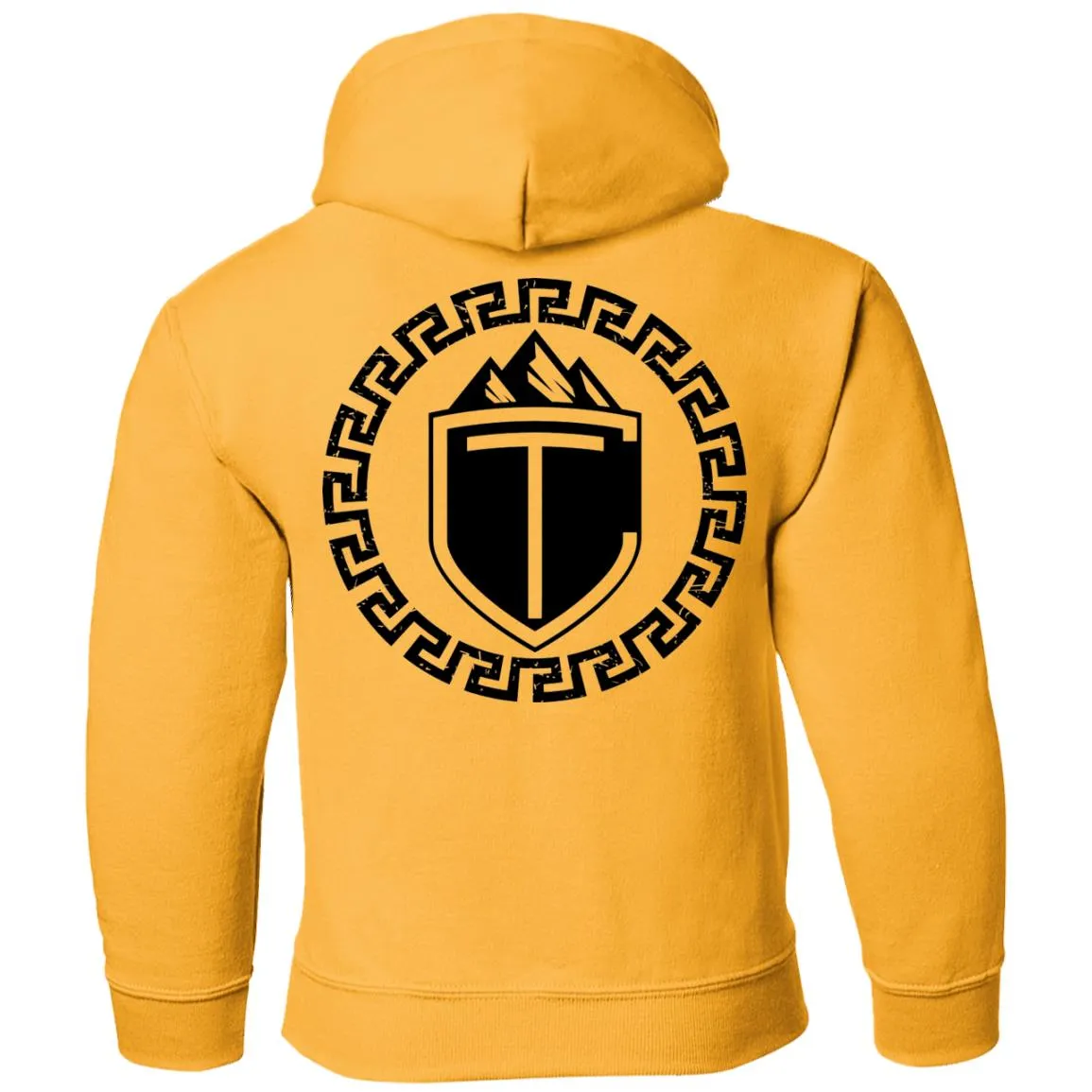 CT Sheild: Youth Pullover Hoodie