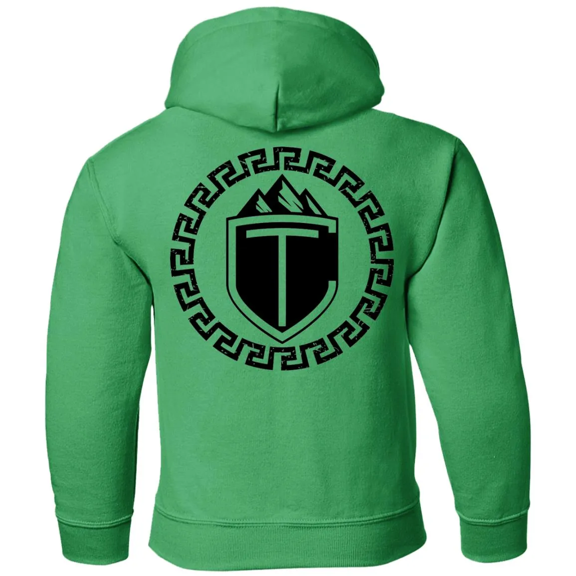 CT Sheild: Youth Pullover Hoodie