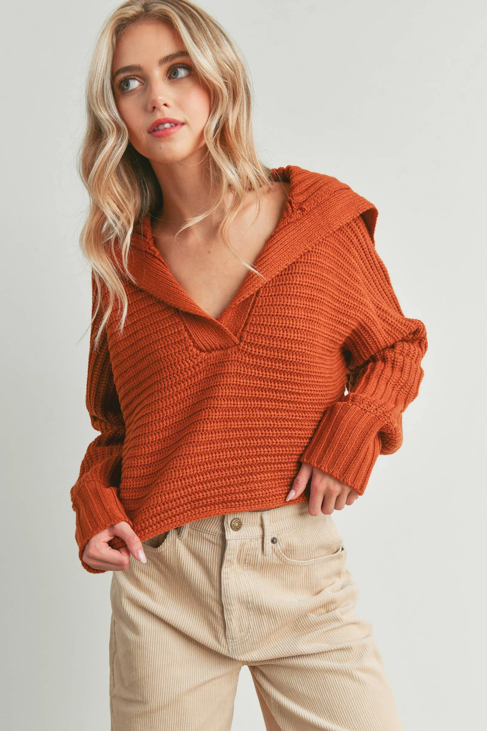 DRAMA COLLAR V NECK SWEATER