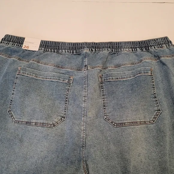 LANE BRYANT DISTRESSED BOYFRIEND PULL ON LIGHT WASH BLUE JEANS JOGGERS Size 26