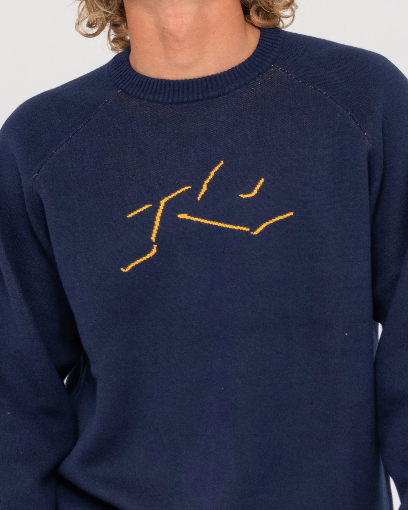 Shadow Intarsia Knit Sweater
