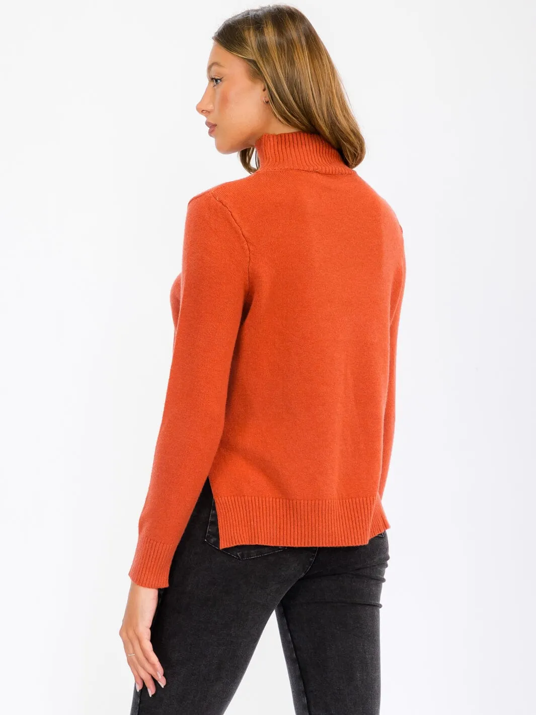 WOMEN'S LONG SLEEVE TURTLE NECK BLOUSE TOP