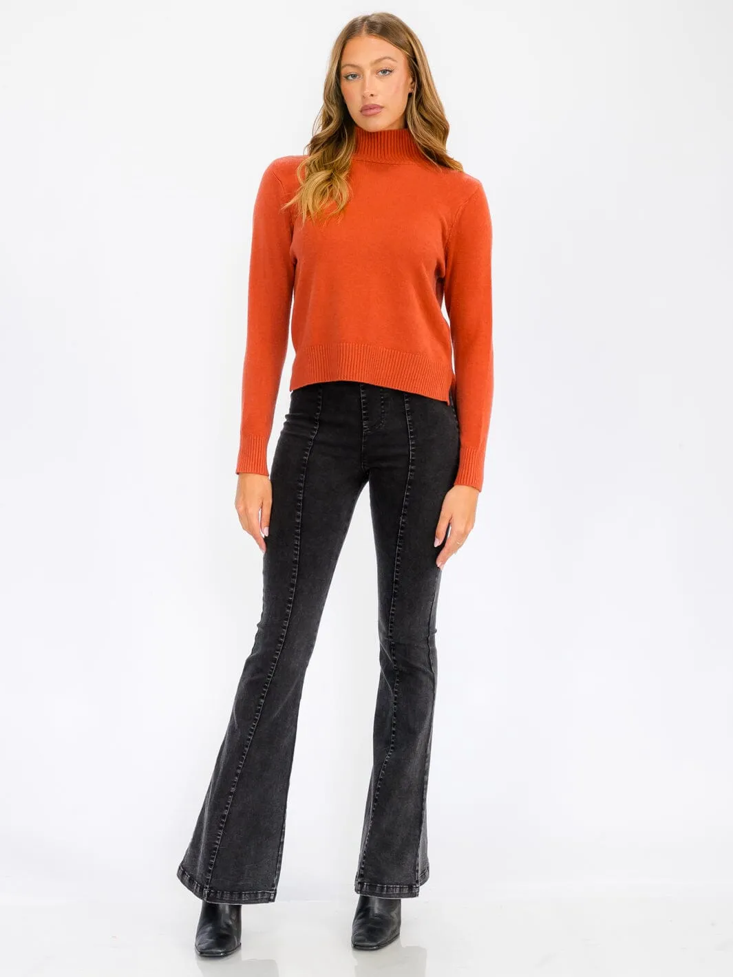 WOMEN'S LONG SLEEVE TURTLE NECK BLOUSE TOP