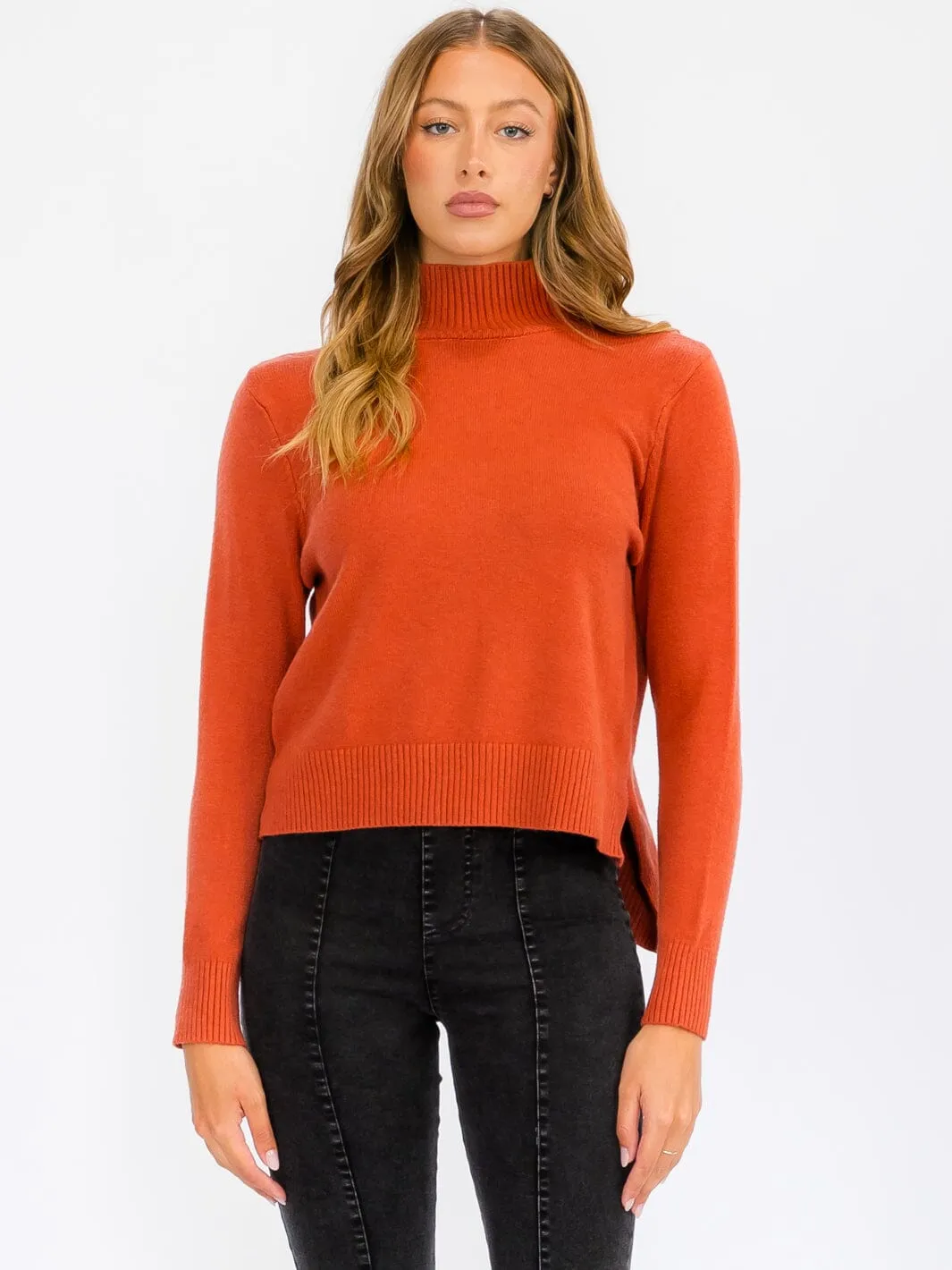WOMEN'S LONG SLEEVE TURTLE NECK BLOUSE TOP